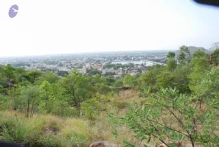 August 03 2008