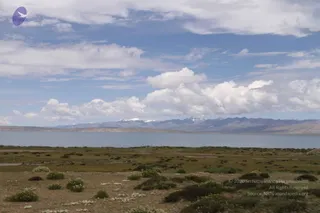 August 05 2011