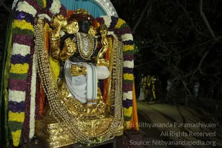 February 19 2015