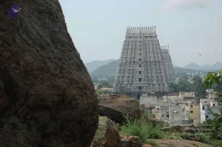 May 20 1989