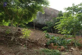 May 20 1989