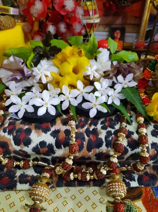 Photo 8290467