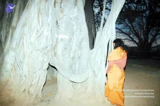 February 25 2007
