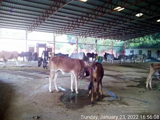January 23 2022