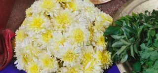 Feb 7 2022 sripuram