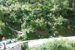 July 02 2008