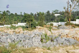 November 20 2008
