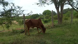 KAIASA HOSUR 05 AUGUST 2021