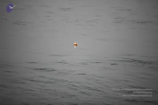April 30 2014