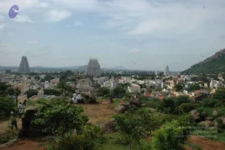 May 20 1989