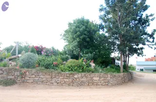 July 07 2010