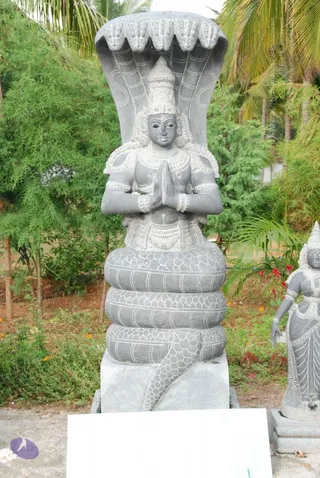 20090708 Photo 1134 1Ls-Futx3T2cmqDCFgMAUFAaXe8cilphu.JPG