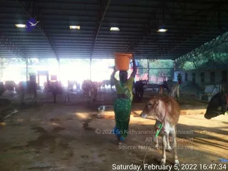 February 07 2022