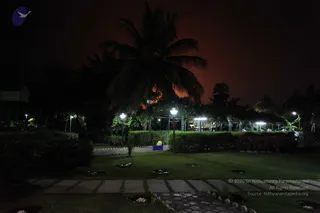 February 02 2010