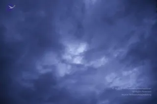 August 10 2011
