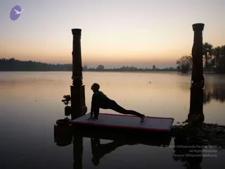 Nithyananda Yoga Poses