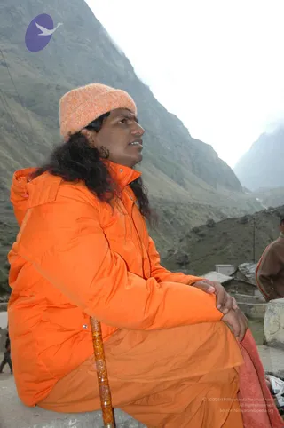 June 01 2006