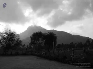 1978 - Tiruvannamalai