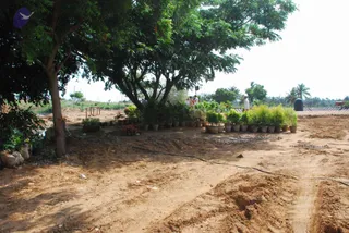 June 09 2009