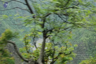 June 03 2006