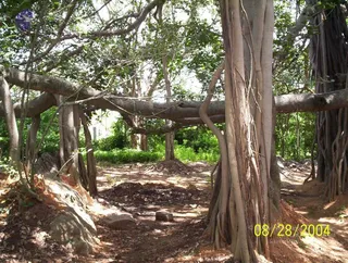 August 28 2004