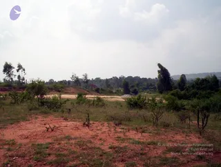 2005 - View-of-Ananda-Sabha-Construction