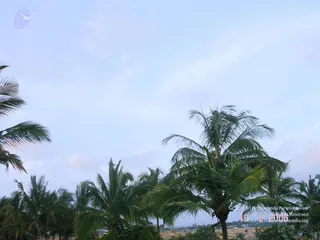 August 19 2006