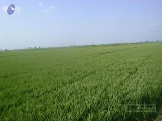 September 2006 - Sindhanur flood relief