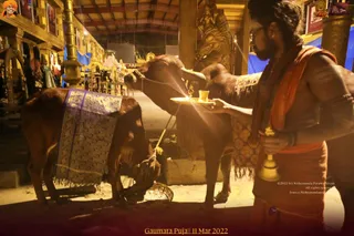 ADIKAILASA on 3/11/2022