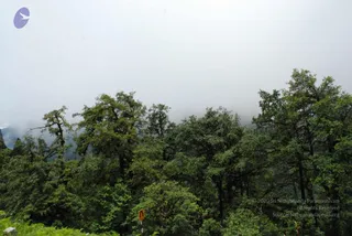 July 07 2008