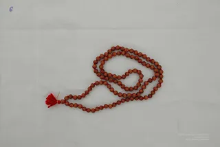 2008 - Nithyananda Galleria
