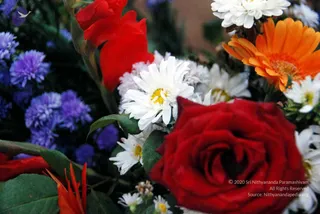 December 16 2010
