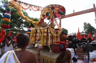 July 15 2011
