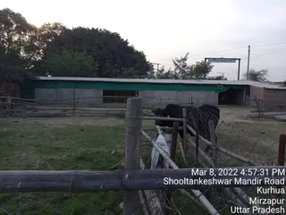 March 11 2022