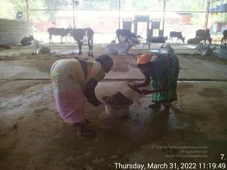 March 31 2022