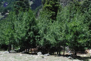 July 02 2008