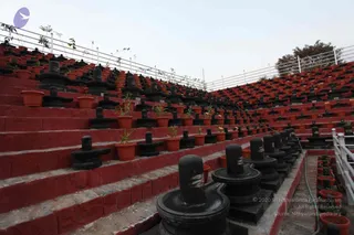 February 23 2011