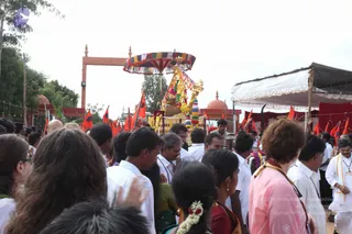 July 15 2011