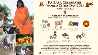 October 31 2021