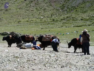 2011 glimpses kailashyatra 020447 CMP WM.jpg