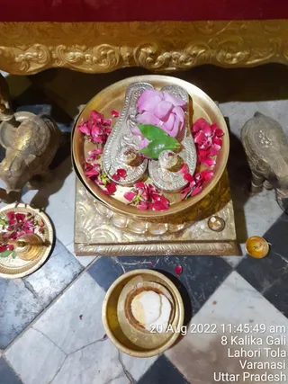 Photo 8290945