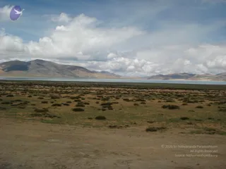 August 03 2011