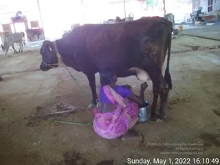 May 01 2022