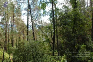 July 02 2008