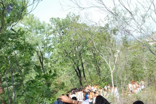August 03 2008