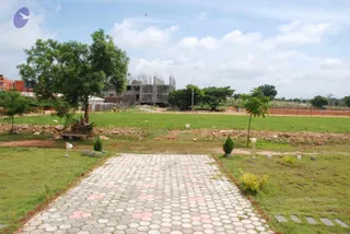 July 19 2010