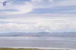 August 05 2011