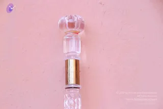 2011 PhotoAbum Walkingstick 7509 CMP WM.jpg