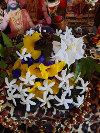 Photo 8290976