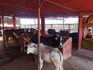 Jan 31 2022 sripuram